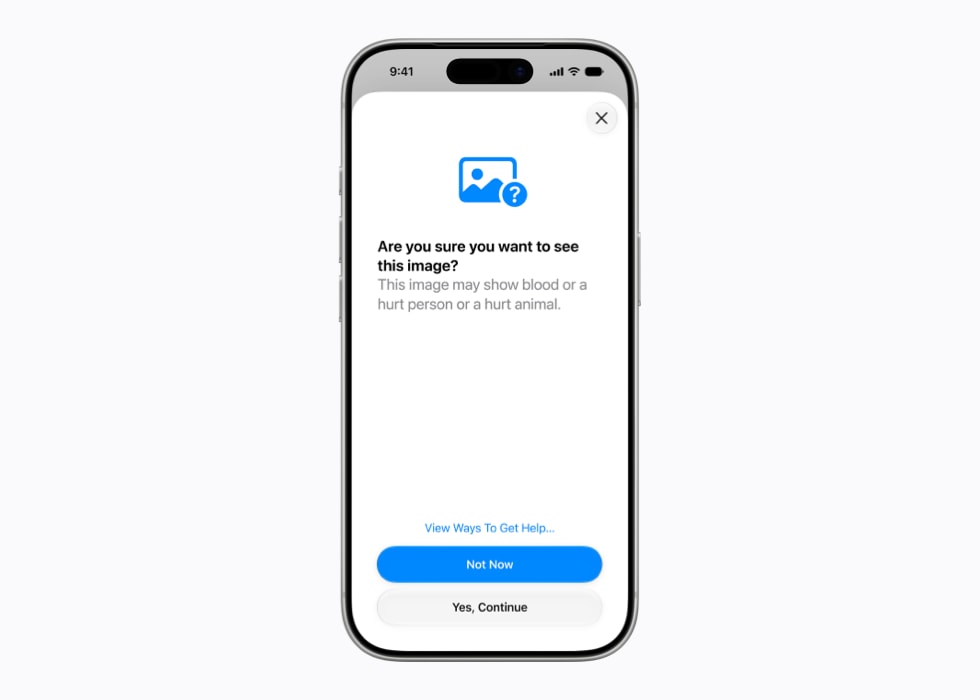 Een iPhone 17 Pro met de vraag of de gebruiker zeker weet of een beeld moet worden getoond.